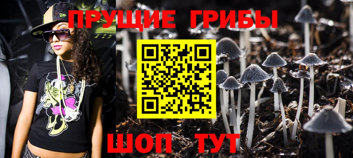 где продают наркотики  Псилоцибиновые грибы мухоморы  Вход с VPN  Чистополь 