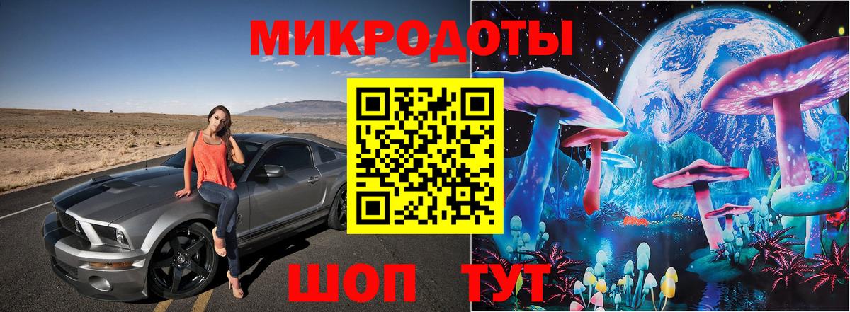 Псилоцибиновые грибы Psilocybe Чистополь